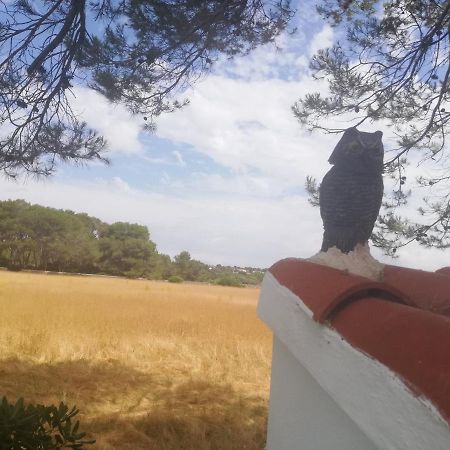 Es Pins Daire Cala Blanca  Dış mekan fotoğraf