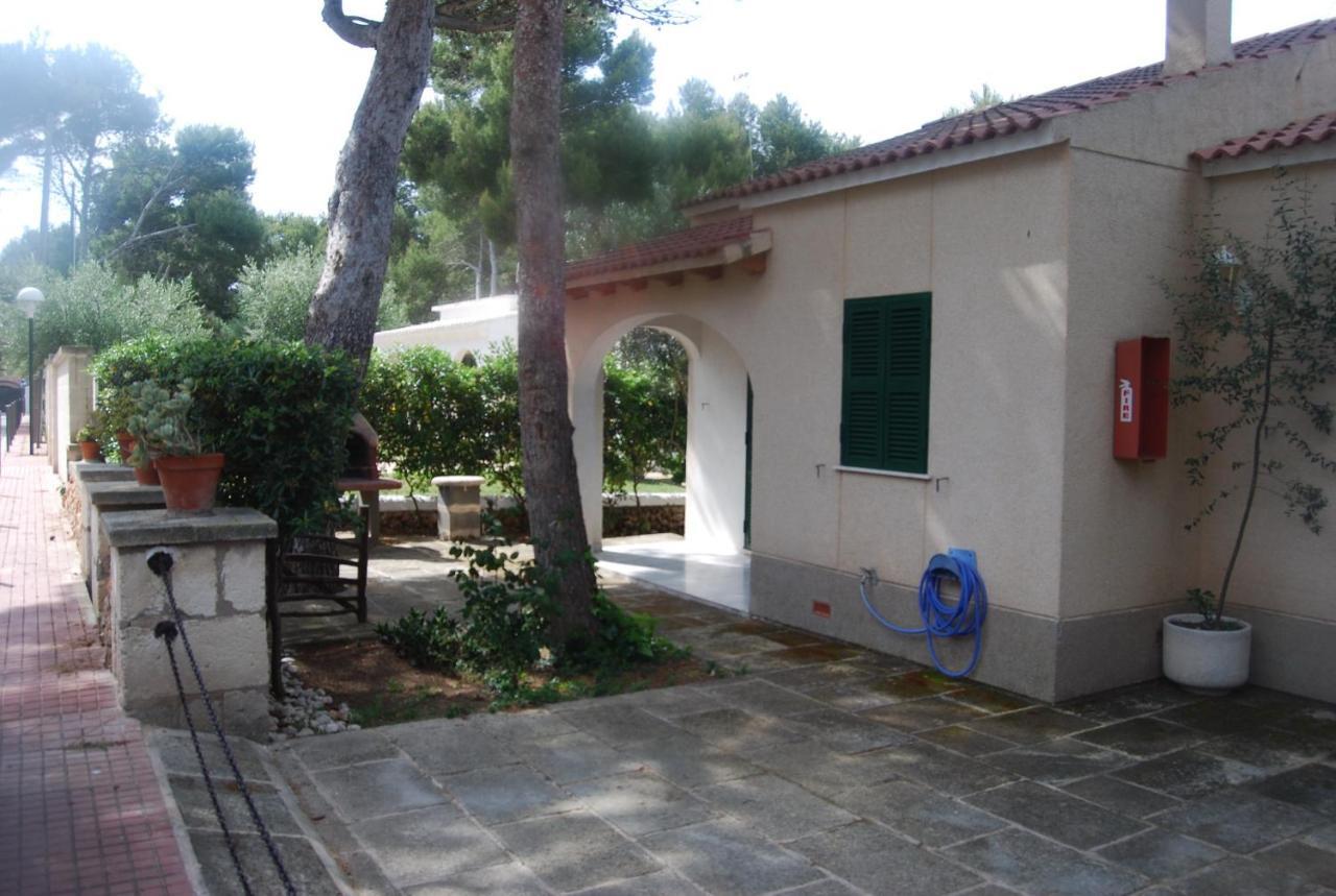 Es Pins Daire Cala Blanca  Oda fotoğraf