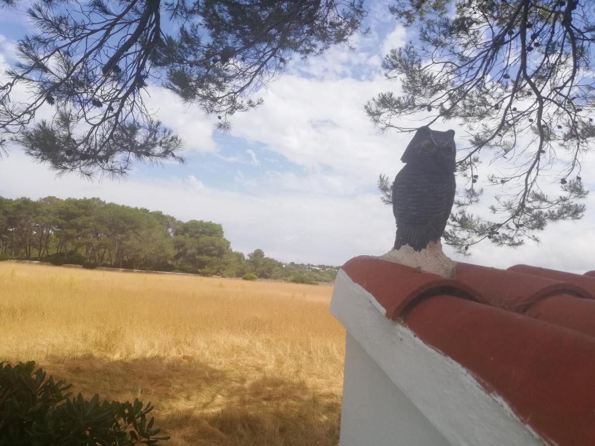 Es Pins Daire Cala Blanca  Dış mekan fotoğraf
